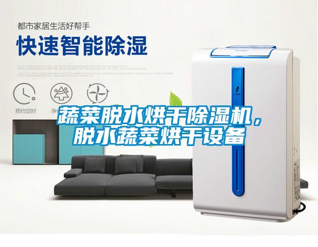 蔬菜脫水烘干除濕機，脫水蔬菜烘干設備