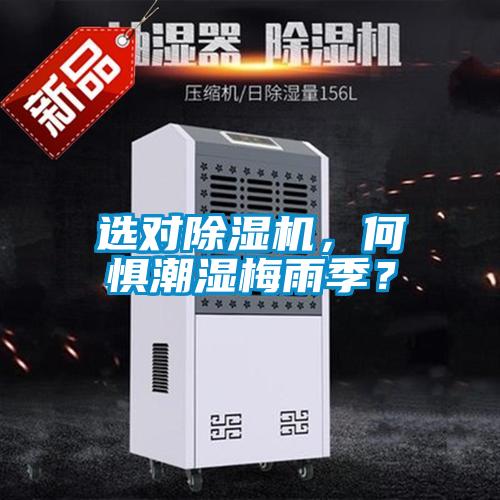 選對除濕機，何懼潮濕梅雨季？