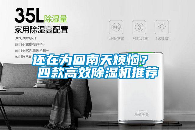 還在為回南天煩惱？ 四款高效除濕機推薦