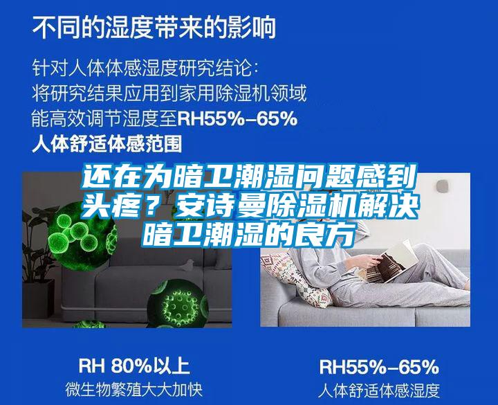 還在為暗衛(wèi)潮濕問題感到頭疼？安詩曼除濕機解決暗衛(wèi)潮濕的良方