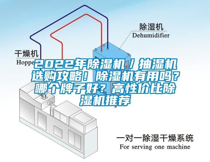 2022年除濕機(jī)／抽濕機(jī)選購攻略！除濕機(jī)有用嗎？哪個牌子好？高性價(jià)比除濕機(jī)推薦