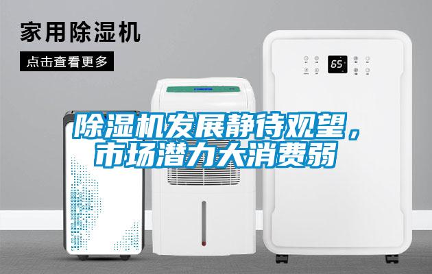 除濕機(jī)發(fā)展靜待觀望，市場(chǎng)潛力大消費(fèi)弱