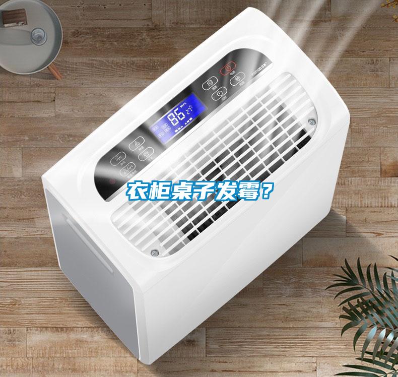 衣柜桌子發(fā)霉？