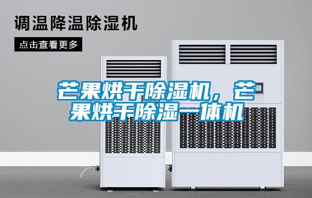 芒果烘干除濕機，芒果烘干除濕一體機