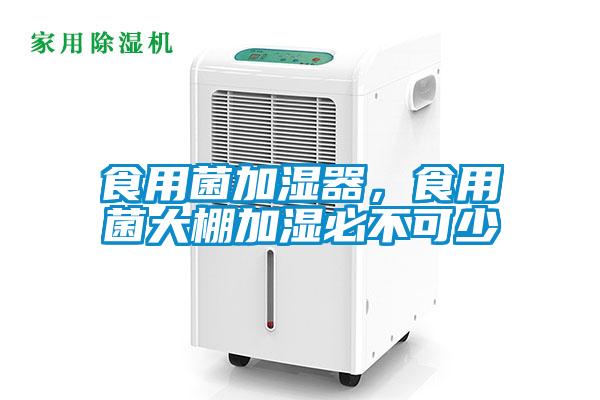 食用菌加濕器，食用菌大棚加濕必不可少