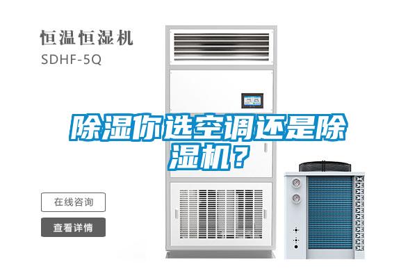 除濕你選空調(diào)還是除濕機(jī)？