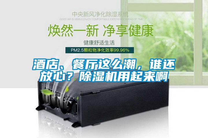 酒店、餐廳這么潮，誰還放心？除濕機用起來啊