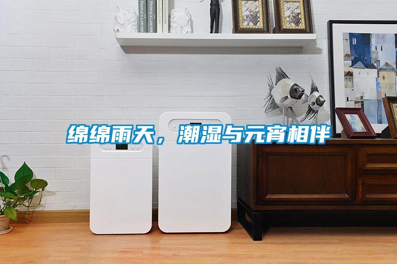 綿綿雨天，潮濕與元宵相伴
