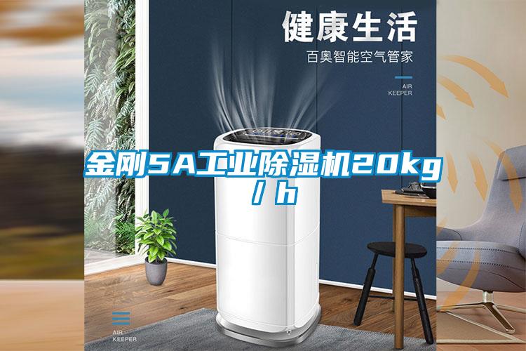金剛5A工業(yè)除濕機20kg／h