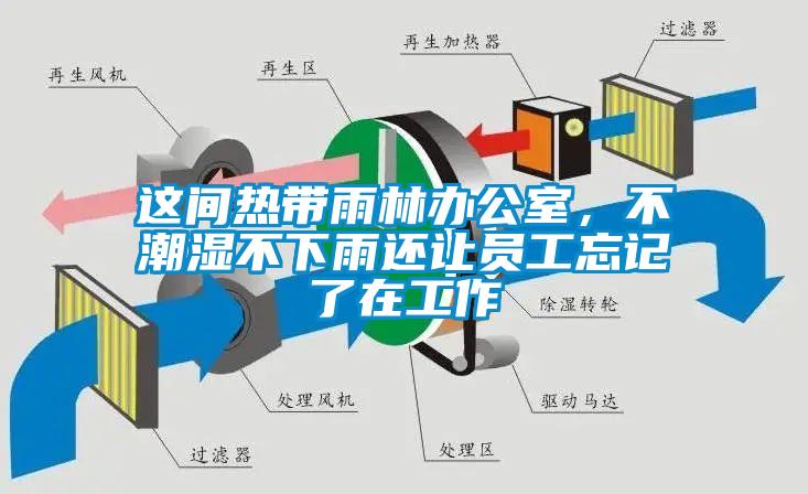這間熱帶雨林辦公室，不潮濕不下雨還讓員工忘記了在工作