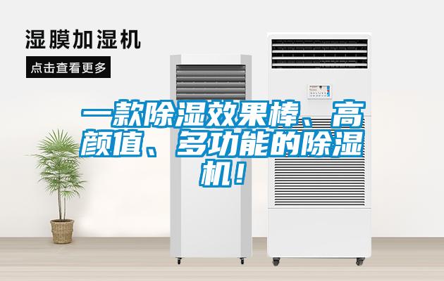 一款除濕效果棒、高顏值、多功能的除濕機！