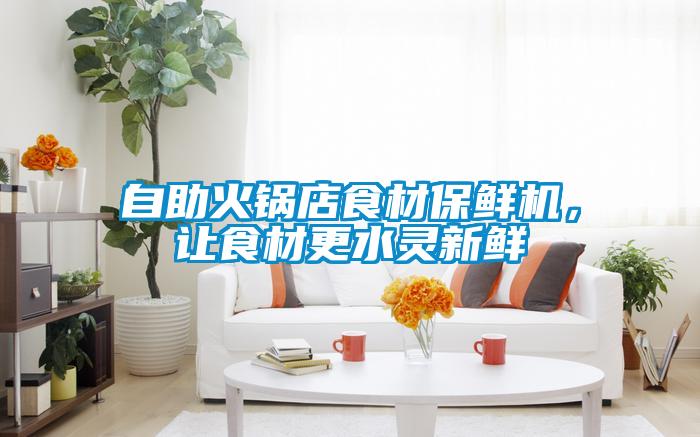 自助火鍋店食材保鮮機(jī)，讓食材更水靈新鮮