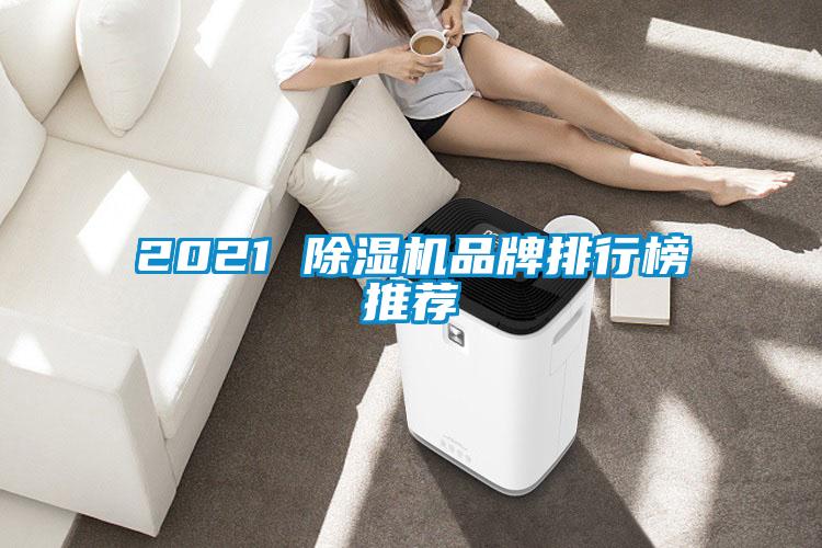 2021 除濕機(jī)品牌排行榜推薦