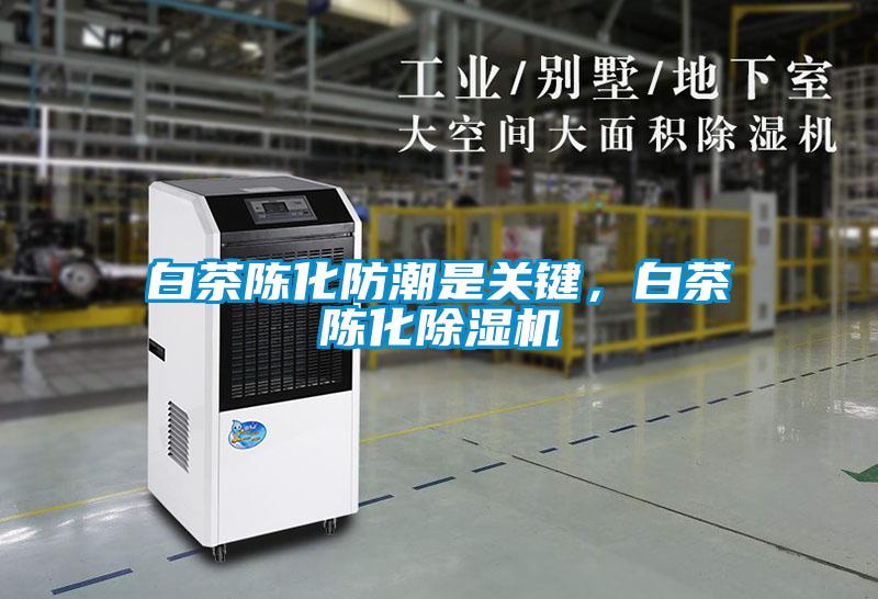 白茶陳化防潮是關鍵，白茶陳化除濕機