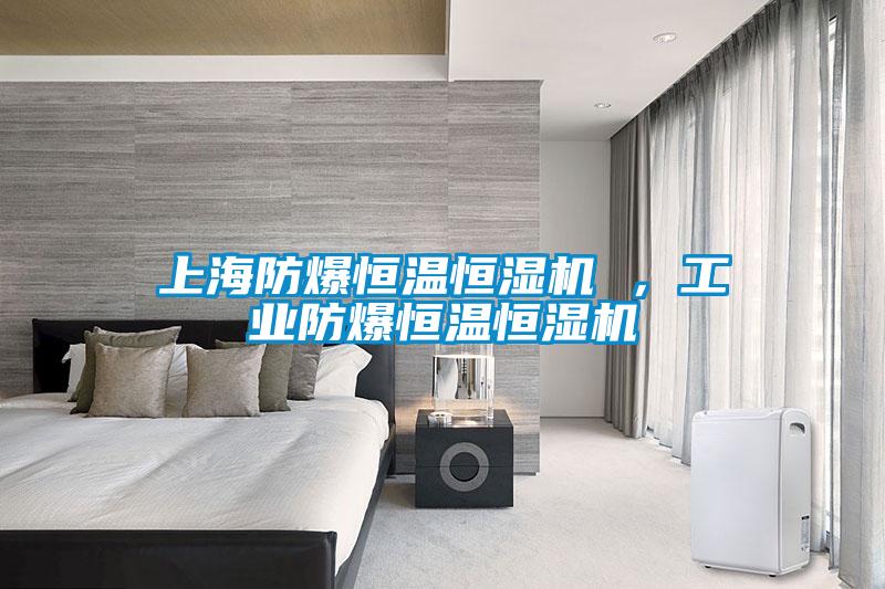 上海防爆恒溫恒濕機 ，工業(yè)防爆恒溫恒濕機