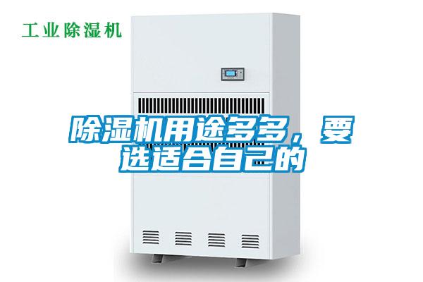 除濕機用途多多，要選適合自己的