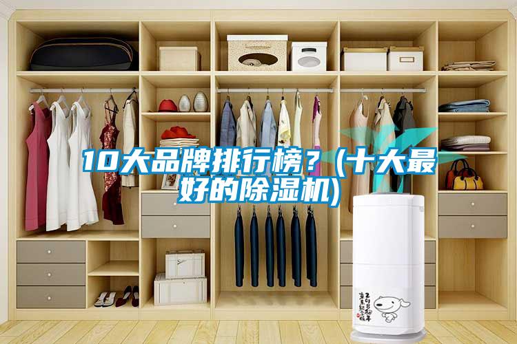 10大品牌排行榜？(十大最好的除濕機(jī))