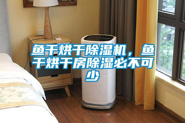 魚干烘干除濕機(jī)，魚干烘干房除濕必不可少