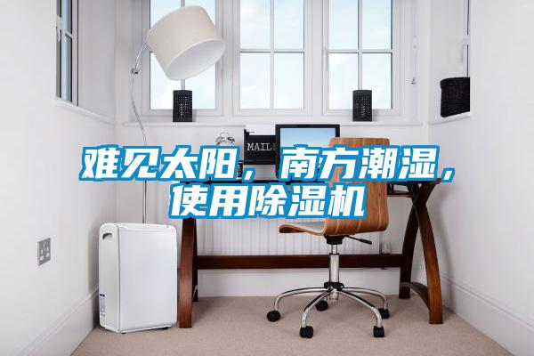 難見太陽，南方潮濕，使用除濕機