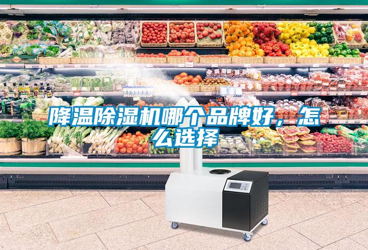 降溫除濕機(jī)哪個(gè)品牌好，怎么選擇