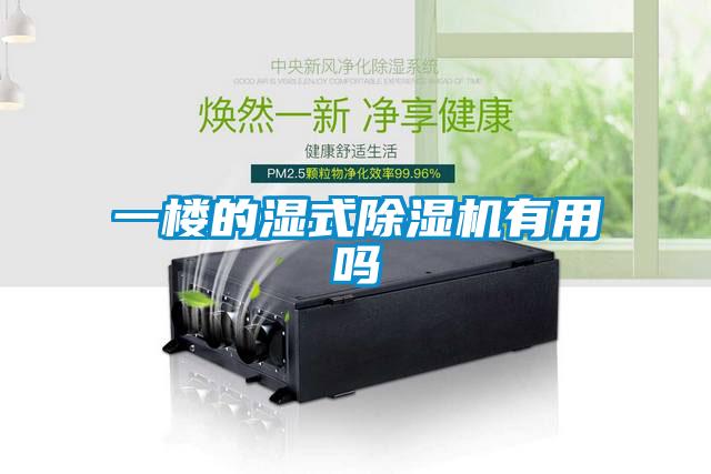 一樓的濕式除濕機(jī)有用嗎
