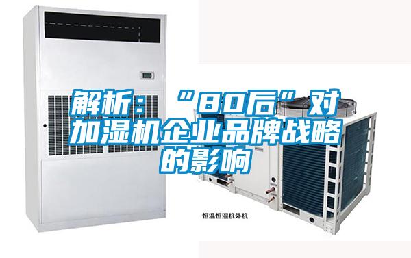 解析：“80后”對加濕機(jī)企業(yè)品牌戰(zhàn)略的影響
