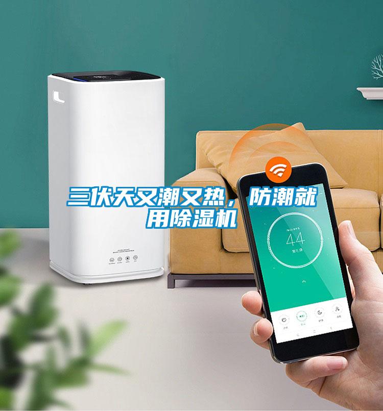 三伏天又潮又熱，防潮就用除濕機