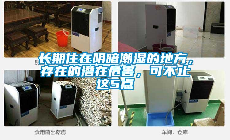 長(zhǎng)期住在陰暗潮濕的地方，存在的潛在危害，可不止這5點(diǎn)