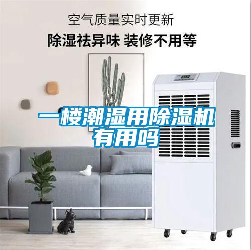 一樓潮濕用除濕機(jī)有用嗎