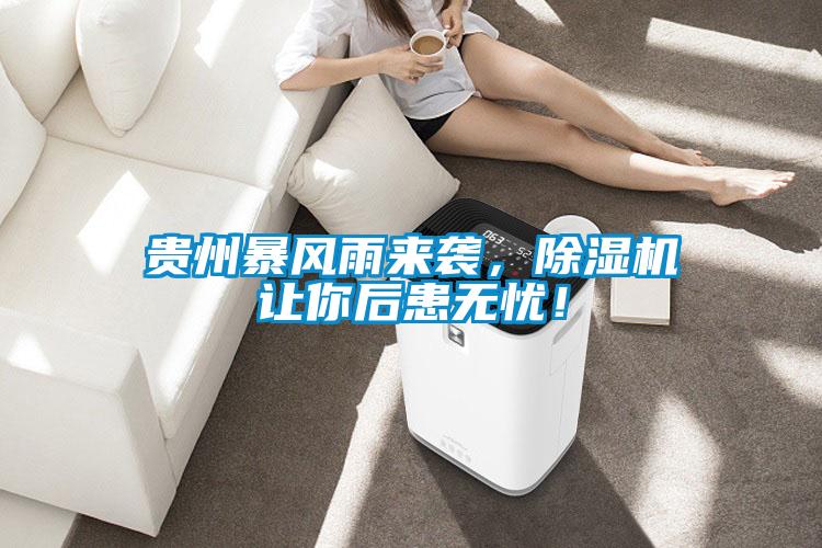 貴州暴風雨來襲，除濕機讓你后患無憂！
