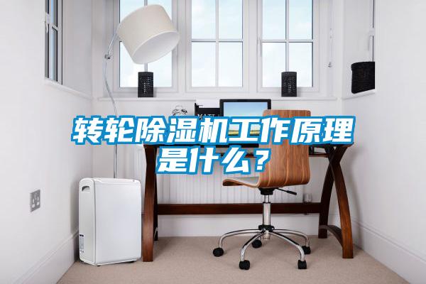 轉(zhuǎn)輪除濕機(jī)工作原理是什么？