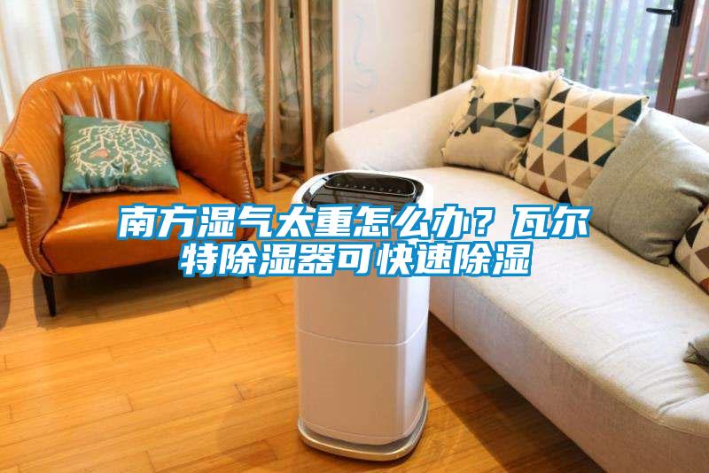 南方濕氣太重怎么辦？瓦爾特除濕器可快速除濕