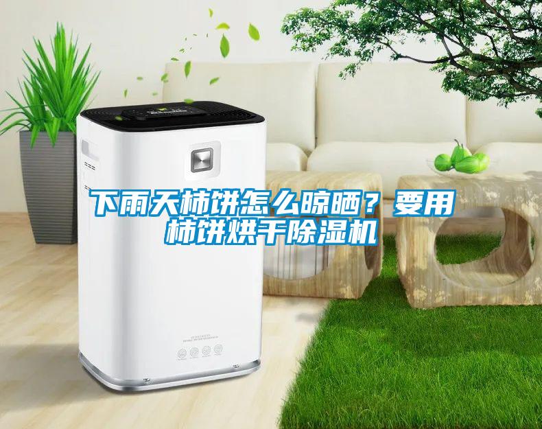下雨天柿餅怎么晾曬？要用柿餅烘干除濕機