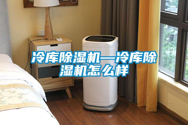 冷庫(kù)除濕機(jī)—冷庫(kù)除濕機(jī)怎么樣