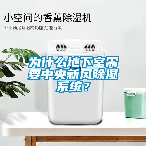 為什么地下室需要中央新風除濕系統(tǒng)？