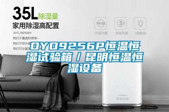 OYO9256P恒溫恒濕試驗箱／昆明恒溫恒濕設(shè)備