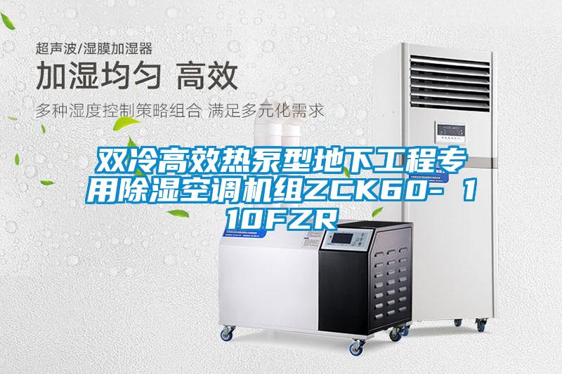 雙冷高效熱泵型地下工程專用除濕空調(diào)機組ZCK60- 110FZR
