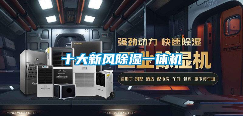 十大新風(fēng)除濕一體機