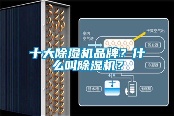 十大除濕機品牌？什么叫除濕機？