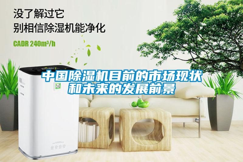 中國除濕機(jī)目前的市場現(xiàn)狀和未來的發(fā)展前景