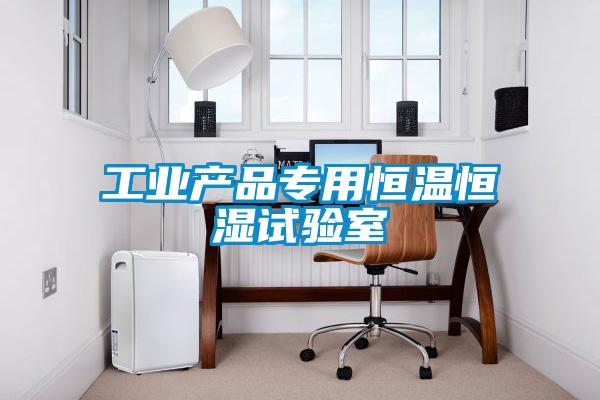 工業(yè)產(chǎn)品專用恒溫恒濕試驗室