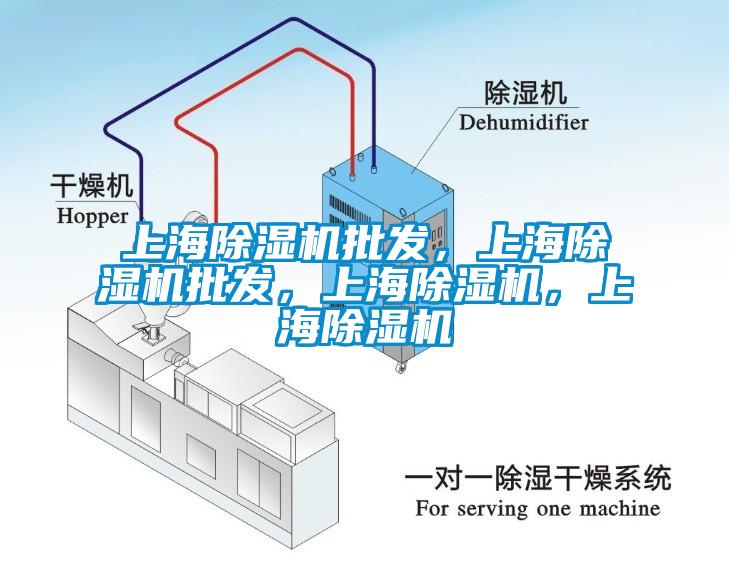 上海除濕機批發(fā)，上海除濕機批發(fā)，上海除濕機，上海除濕機