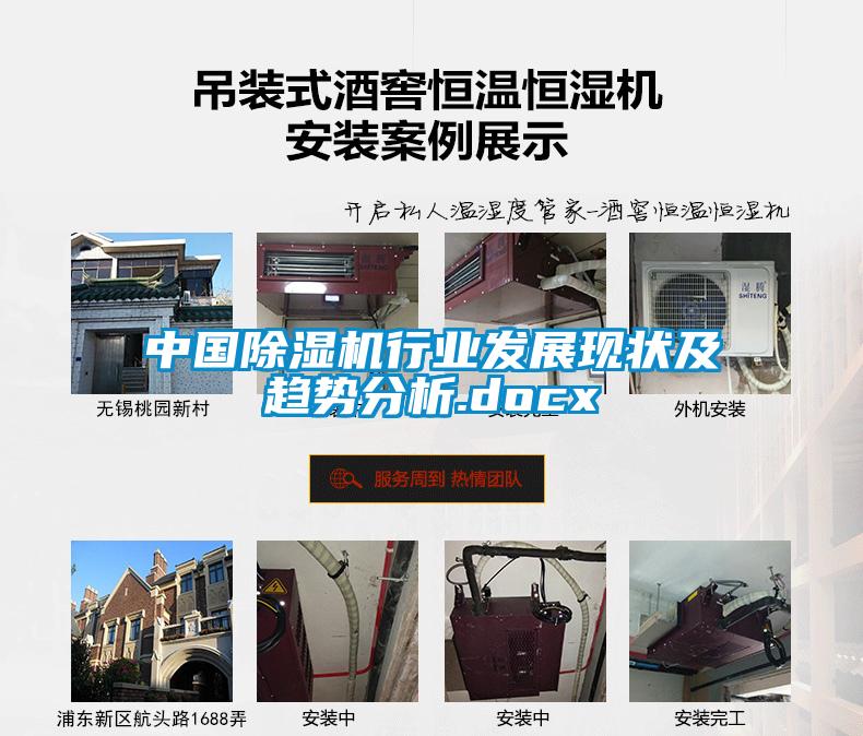 中國除濕機(jī)行業(yè)發(fā)展現(xiàn)狀及趨勢分析.docx