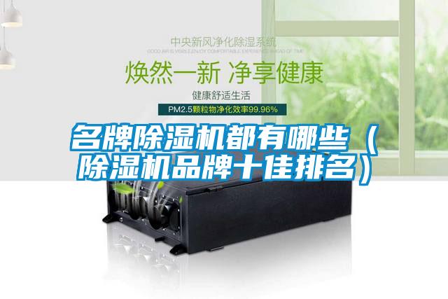 名牌除濕機(jī)都有哪些（除濕機(jī)品牌十佳排名）