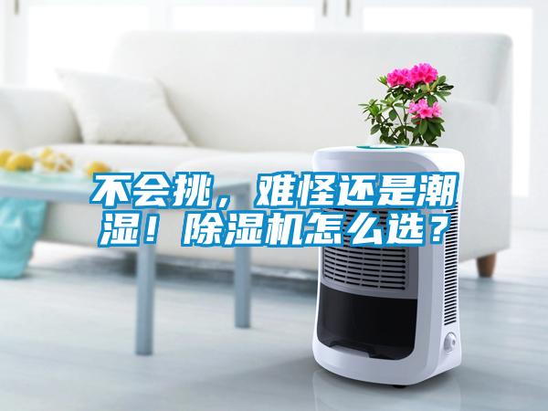 不會挑，難怪還是潮濕！除濕機怎么選？