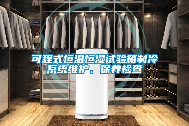 可程式恒溫恒濕試驗(yàn)箱制冷系統(tǒng)維護(hù)、保養(yǎng)檢查