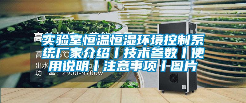 實(shí)驗(yàn)室恒溫恒濕環(huán)境控制系統(tǒng)廠(chǎng)家介紹丨技術(shù)參數(shù)丨使用說(shuō)明丨注意事項(xiàng)丨圖片