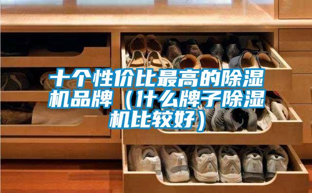 十個(gè)性價(jià)比最高的除濕機(jī)品牌（什么牌子除濕機(jī)比較好）