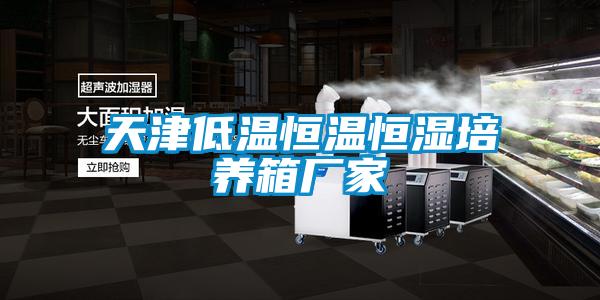 天津低溫恒溫恒濕培養(yǎng)箱廠(chǎng)家