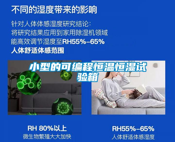 小型的可編程恒溫恒濕試驗(yàn)箱